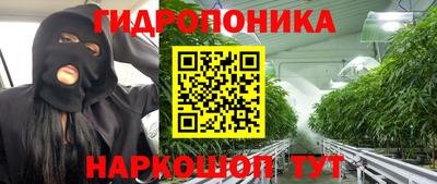 эйфоретик Усть-Джегута