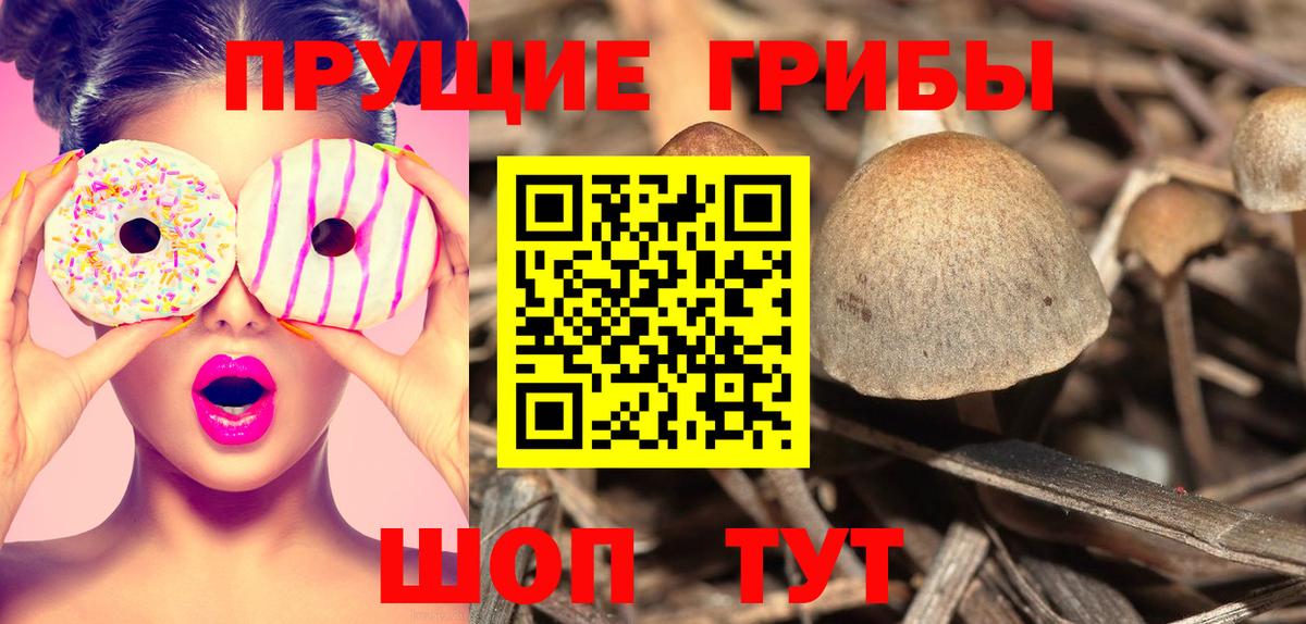 Псилоцибиновые грибы ЛСД Ахтубинск