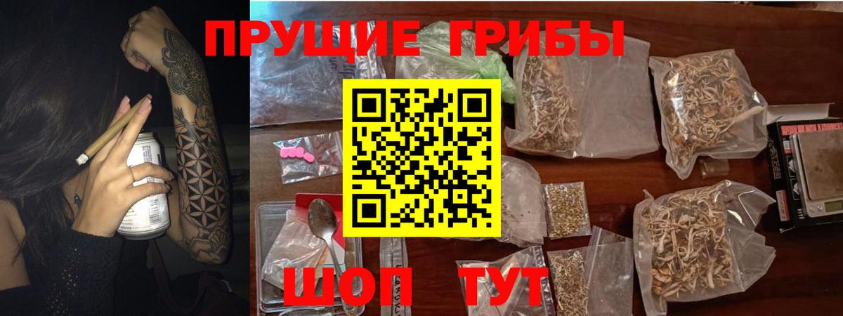 Ахтубинск  Галлюциногенные грибы Psilocybine cubensis  купить  сайты  Вход с VPN 